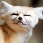 ИзюмнаяТефтеля