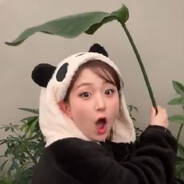 瑟瑟拉紛