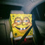 heringe666