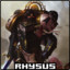 Rhysus