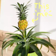 pineapple