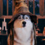 Dogwarts