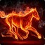 FireHorse