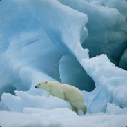 熊帅，爱喝茶！