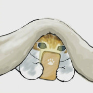 起把L-star就rush B