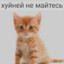 Гол