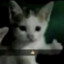 Sa1meqqqq