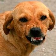 olopar - steam id 76561199861050238