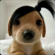 二十岁阴险女人