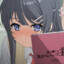 Sakurajima Mai