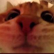 KatLu
