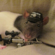 A Rat With A Hat