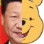 XI monkey