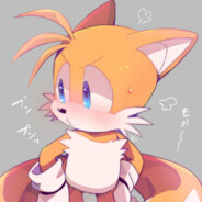 FanFan是Tails的狗