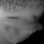 Nicotine the Wise