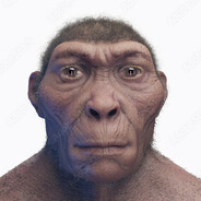HomoHabilis Steam avatar