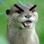 Happily Angry Otter