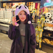 叙利亚战损小野猫