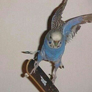 ꪜ꠸ꪖᥴꪶꪮꪜ