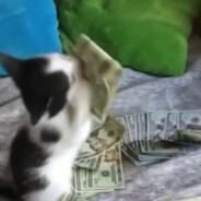 马上就要发财了好紧张