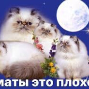 пивной гуру