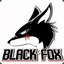 BLACK FOX