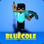 bluecoletrn