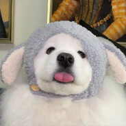 翻斗花园胡图图