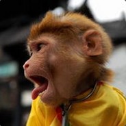 求求你们别改名了