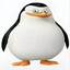 企鹅