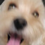 ʙᴇɴɴ.