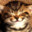 ChinaCat