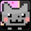 Lvl 1 Nyan Cat
