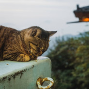 繁华如三千东流水