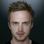 Aaron Paul