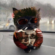 oddinyr - steam id 76561198385170166