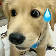 被小郑骗了2000筷