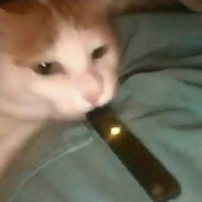 kafeyy's avatar