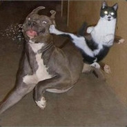 一名女学生惨遭5名男教师轮流布置作业