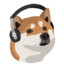 Dog With Headphones