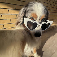 m00dy - steam id 76561198977047143