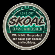 Skoal Wintergreen Long Cut