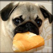 N3RO - steam id 76561197965816716