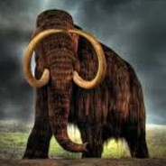 Mamut