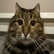 batonbetonbutonbidonburbon