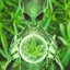 Weed Alien