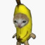 Banana Kat