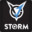 Storm