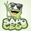 Sapo cego