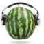 Watermelon_gaming